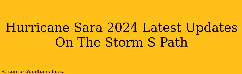 Hurricane Sara 2024 Latest Updates On The Storm S Path