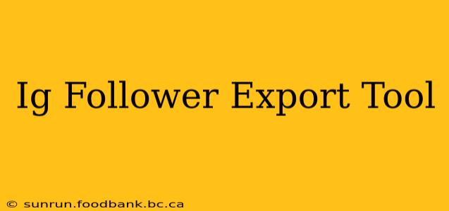Ig Follower Export Tool
