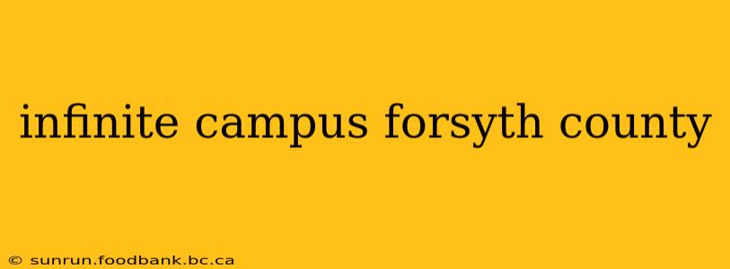 infinite campus forsyth county