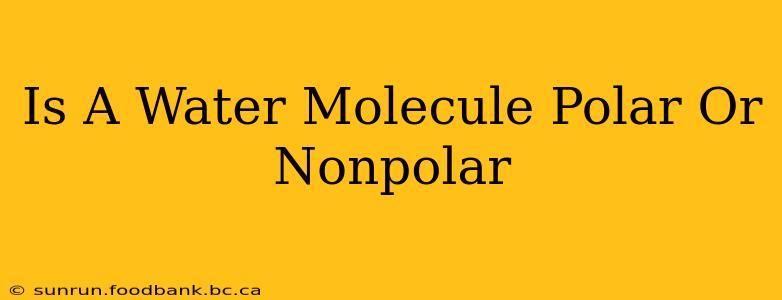 Is A Water Molecule Polar Or Nonpolar