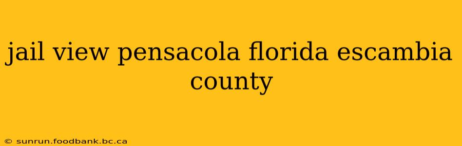 jail view pensacola florida escambia county