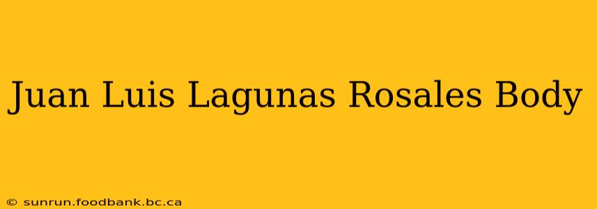 Juan Luis Lagunas Rosales Body