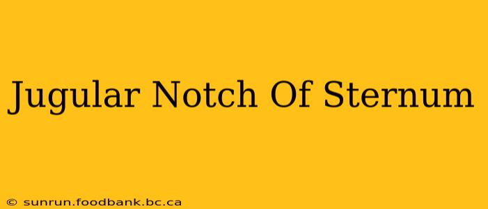Jugular Notch Of Sternum