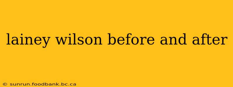 lainey wilson before and after