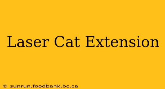 Laser Cat Extension
