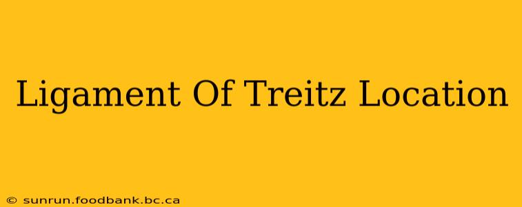 Ligament Of Treitz Location