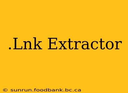 .Lnk Extractor