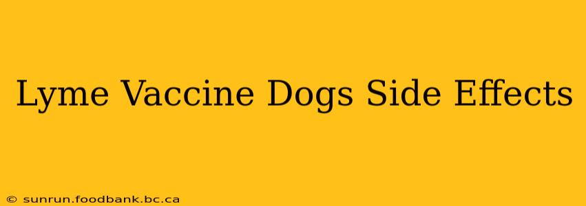Lyme Vaccine Dogs Side Effects