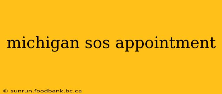 michigan sos appointment