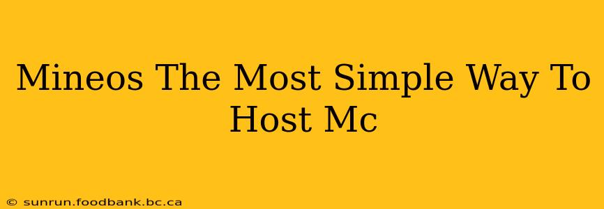 Mineos The Most Simple Way To Host Mc