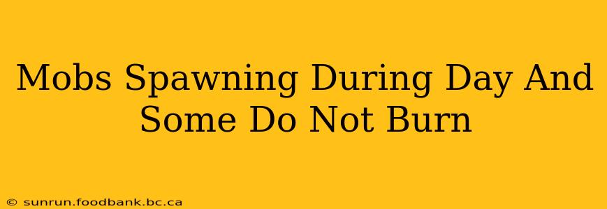 Mobs Spawning During Day And Some Do Not Burn