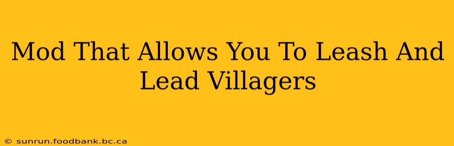 Mod That Allows You To Leash And Lead Villagers