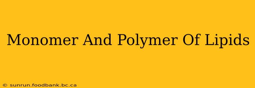 Monomer And Polymer Of Lipids