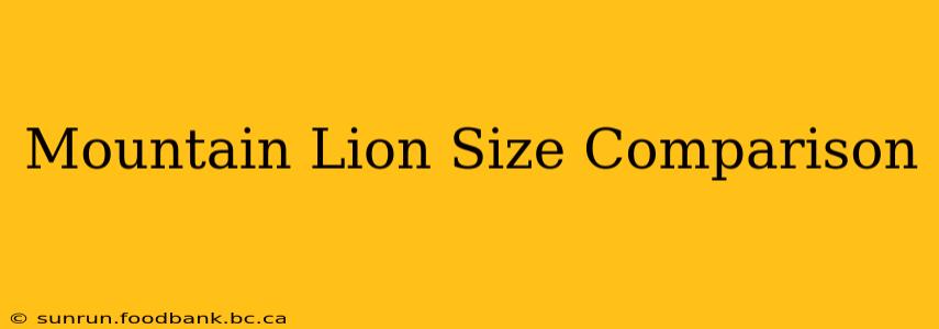 Mountain Lion Size Comparison