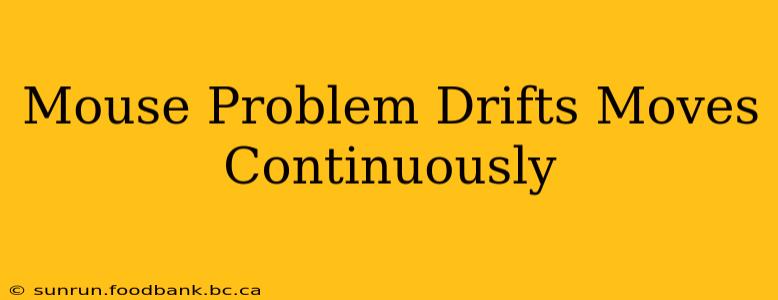 Mouse Problem Drifts Moves Continuously