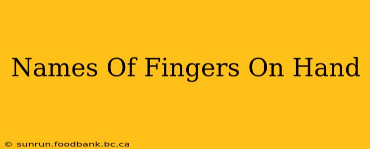 Names Of Fingers On Hand