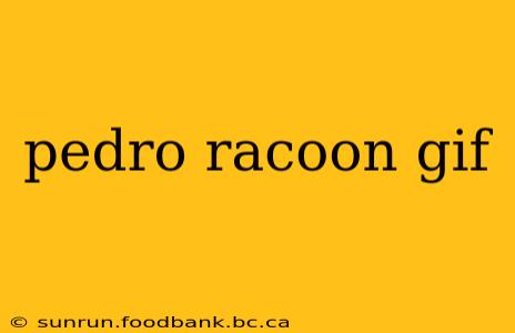 pedro racoon gif