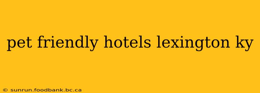 pet friendly hotels lexington ky