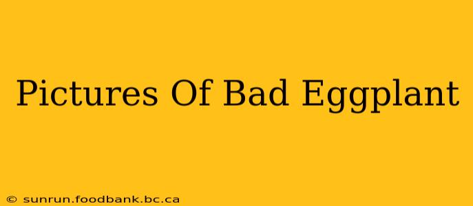 Pictures Of Bad Eggplant