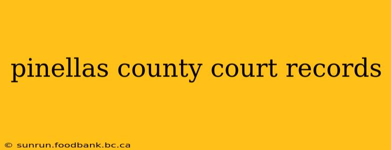 pinellas county court records