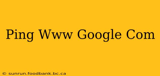 Ping Www Google Com