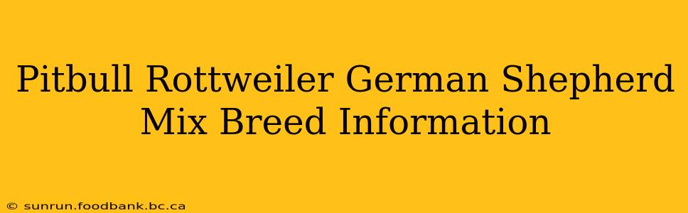 Pitbull Rottweiler German Shepherd Mix Breed Information