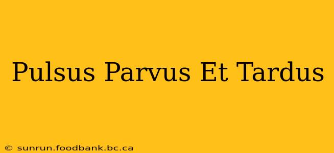 Pulsus Parvus Et Tardus