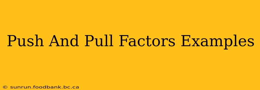 Push And Pull Factors Examples