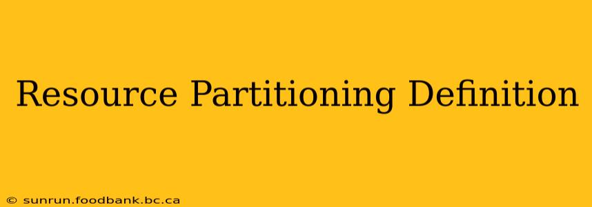 Resource Partitioning Definition