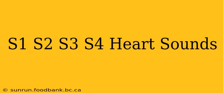 S1 S2 S3 S4 Heart Sounds