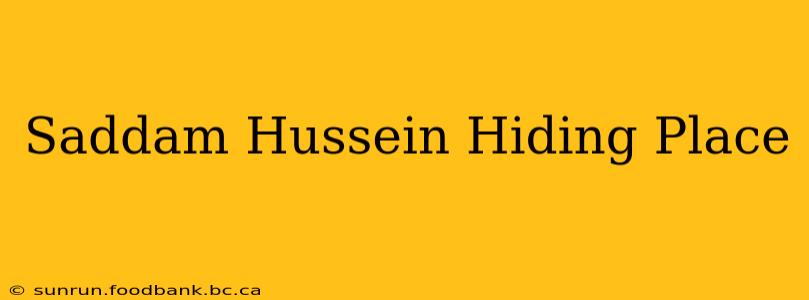 Saddam Hussein Hiding Place
