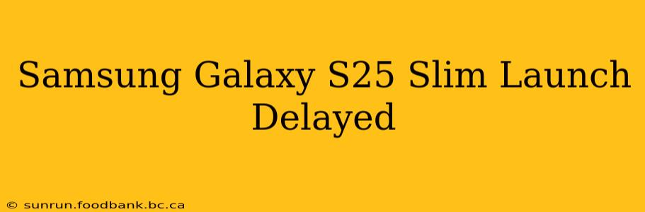 Samsung Galaxy S25 Slim Launch Delayed