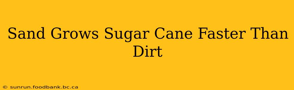 Sand Grows Sugar Cane Faster Than Dirt