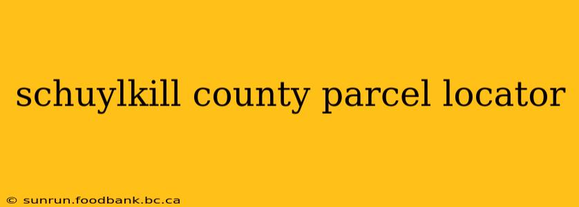 schuylkill county parcel locator