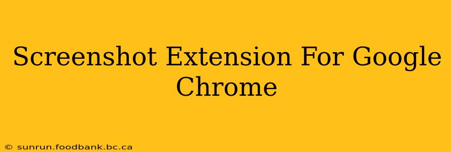 Screenshot Extension For Google Chrome