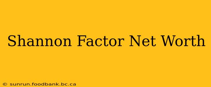 Shannon Factor Net Worth
