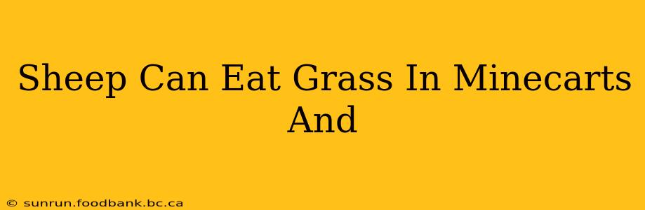 Sheep Can Eat Grass In Minecarts And
