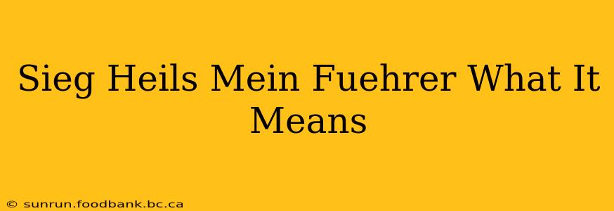 Sieg Heils Mein Fuehrer What It Means