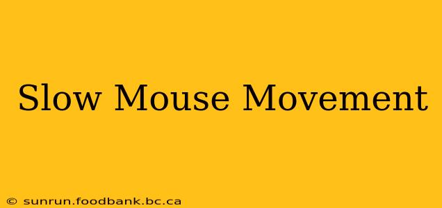 Slow Mouse Movement