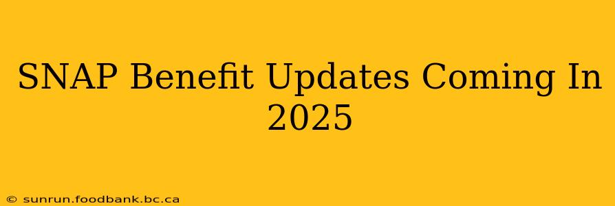 SNAP Benefit Updates Coming In 2025