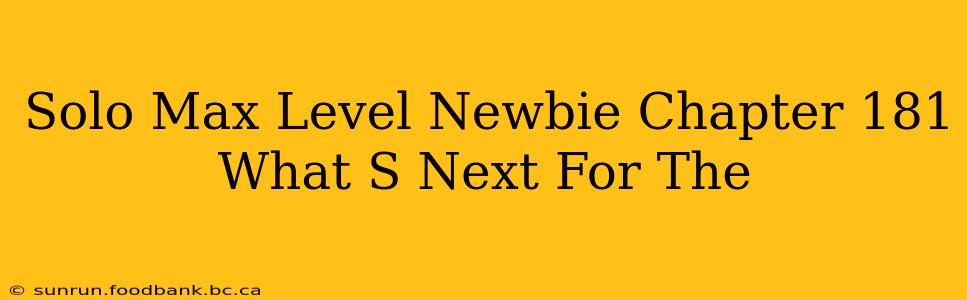 Solo Max Level Newbie Chapter 181 What S Next For The