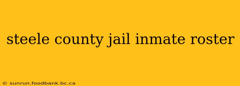 steele county jail inmate roster