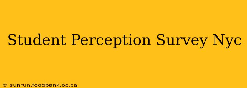 Student Perception Survey Nyc