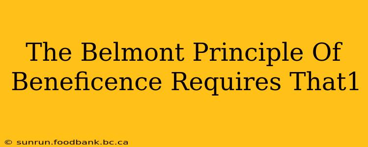 The Belmont Principle Of Beneficence Requires That1