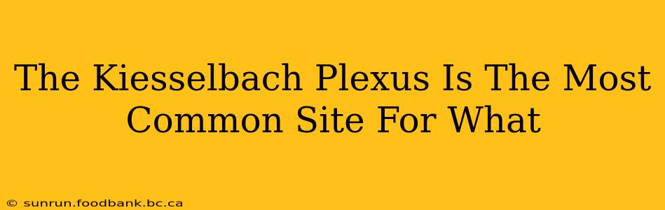 The Kiesselbach Plexus Is The Most Common Site For What