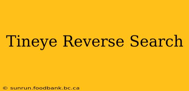 Tineye Reverse Search