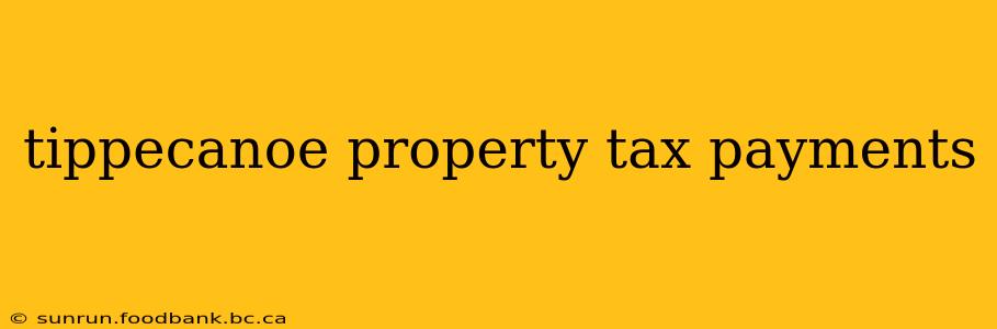 tippecanoe property tax payments