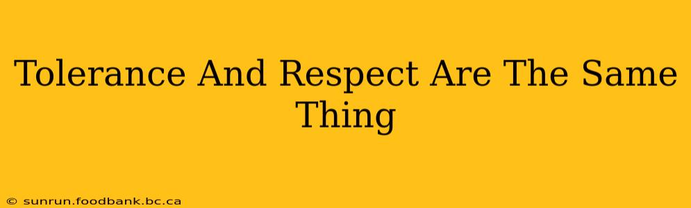 Tolerance And Respect Are The Same Thing