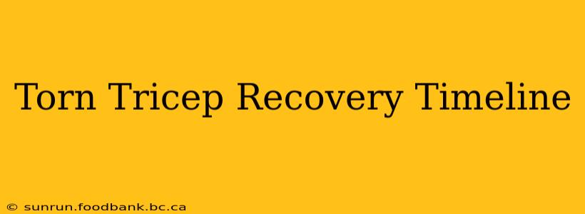 Torn Tricep Recovery Timeline