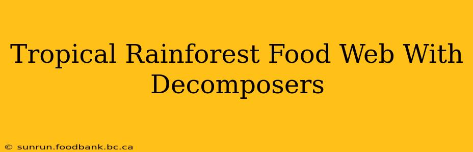 Tropical Rainforest Food Web With Decomposers